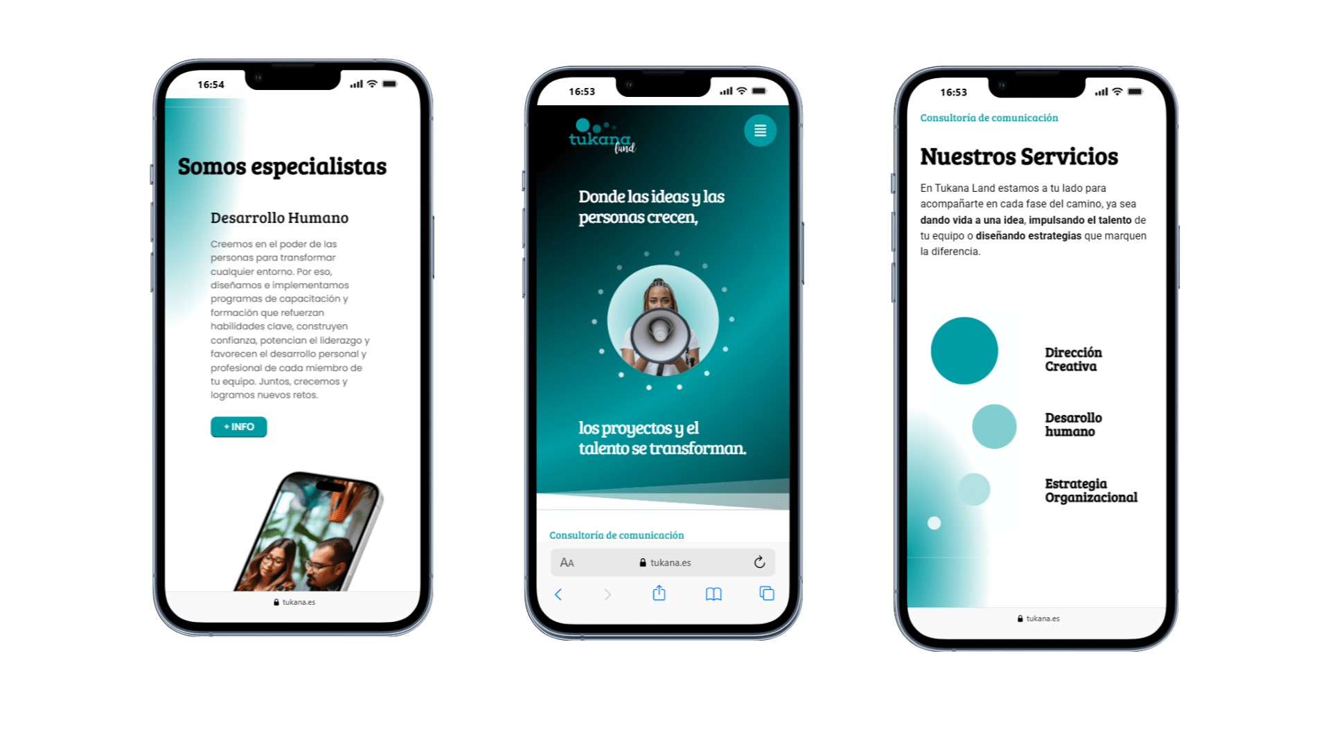 diseño web la carpanta (2)